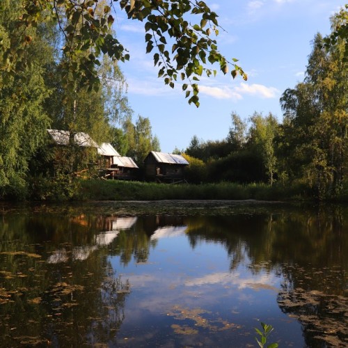 Костромской трип: выходные на Волге с посещением лосиной фермы и дегустацией в Музее сыра