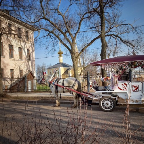 Гаврилов Посад — город-открытие! Экскурсия из Суздаля (на вашем автомобиле)