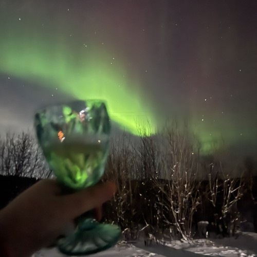 Своей компанией на Русский Север: Мурманск, Териберка, Кировск и саамы