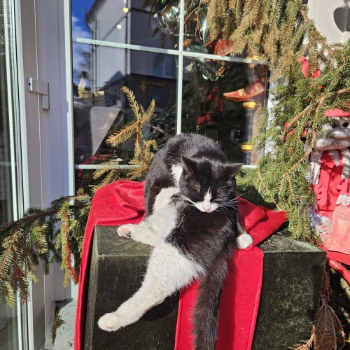 Индивидуальная поездка в Калининград: Балтийск, Светлогорск, Зеленоградск и Куршская коса