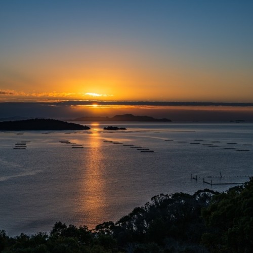 Шарм провинции: экспресс-тур по Кашире, Венёву, Туле, Крапивне и Дубне (старт в Москве)