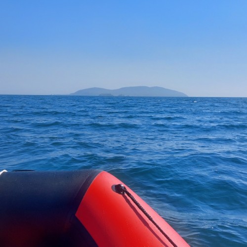 На моторной лодке — вдоль побережья острова Русский