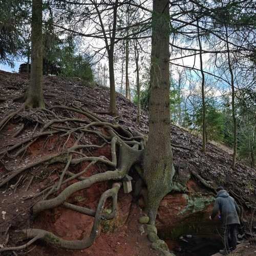 Путешествие-перезагрузка на юг Ленобласти