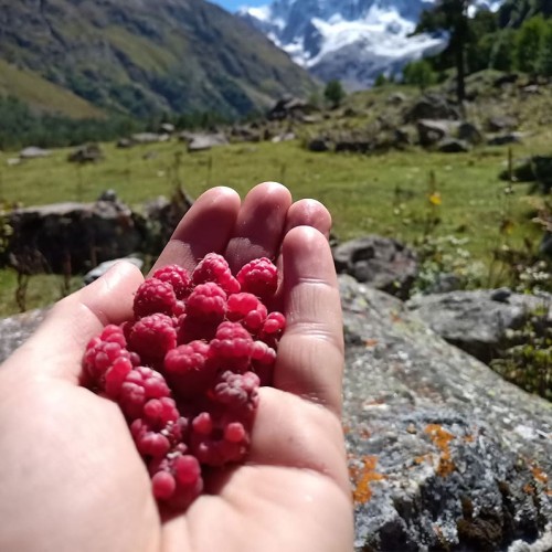 Треккинг налегке у подножия священной горы Уллу-Тау (комфорт размещения на выбор)