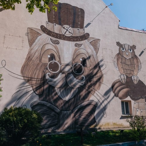 Море, котики, курорты: главное в Калининградской области