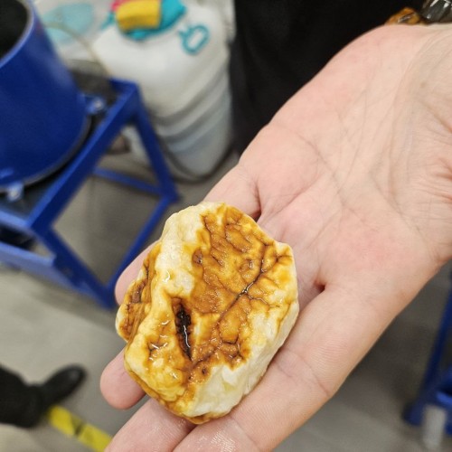 7 городов Калининградской области и природа Балтики: автобусный тур с опциональными экскурсиями