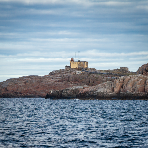 Сокровища Северного Ледовитого океана: полуостров Рыбачий, Териберка, Мурманск и саамская деревня