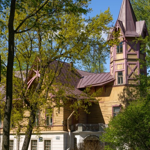 Аптекарский и Каменный острова на авто: особняки, дачи и респектабельные кварталы