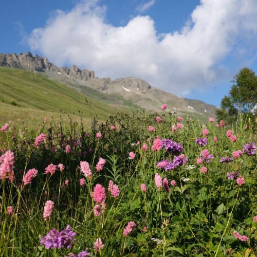 Экспресс-трип в Домбай с лёгкими треккингами: Алибекский водопад и Мусса-Ачитарские озёра