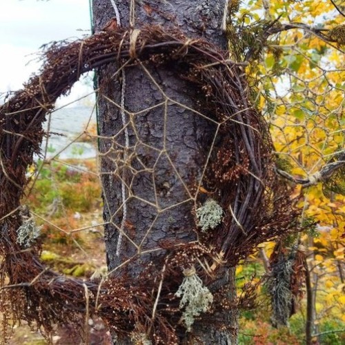 Детокс в Карелии: место силы, дары леса и походная романтика (всё включено)