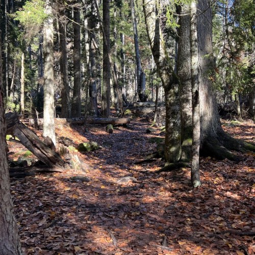 Молодёжный тур в Домбай: лёгкие треккинги, природные чудеса и отель 4* с видом на вершины