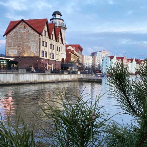 Замки, море и хомлины — лучшие места Калининградской области и дегустация на семейной сыроварне