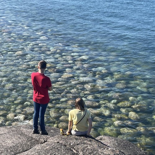 Своей компанией на Русский Север: Мурманск, Териберка, Кировск и саамы