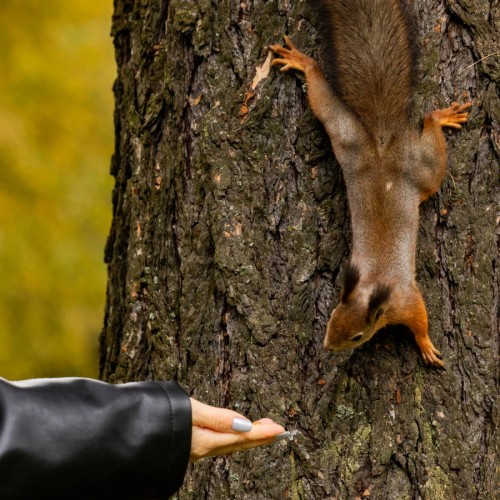 Свидание с Петербургом: фотосессия с постобработкой