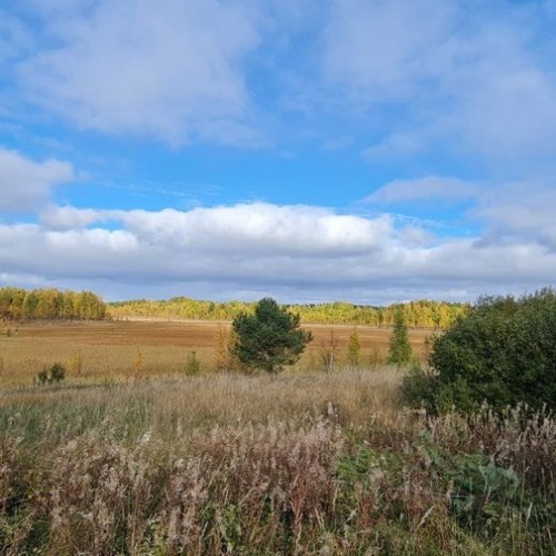 Детокс в Карелии: место силы, дары леса и походная романтика (всё включено)