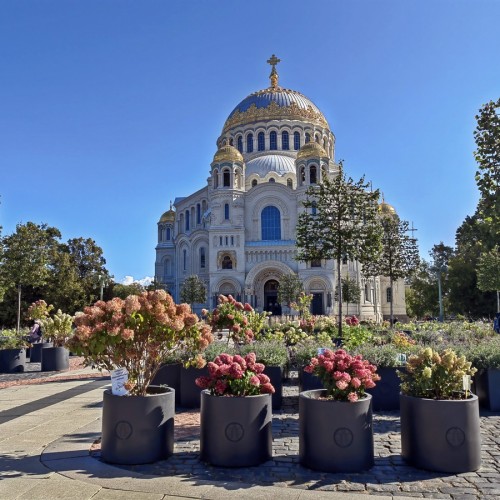 В Кронштадт на авто бизнес-класса