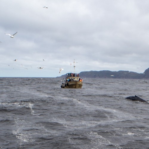 Горы и водопады Севера: тур на Кольский полуостров в мини-группе