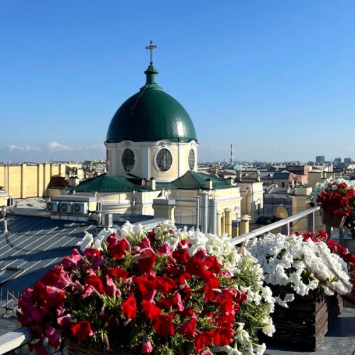 Сердце и душа культурной столицы: центр Петербурга + прогулка по крыше