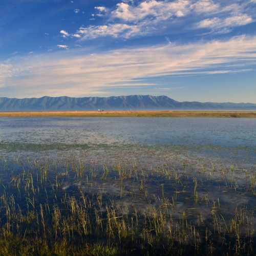 За трофеями на Байкал с местными: рыбалка с катера, катамарана и на реках