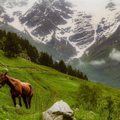 На поезде к жемчужинам Кавказа: города, горы, кухня, традиции 5 республик