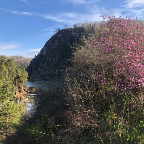 Автотур по весеннему Алтаю: фиолетовые горы и места силы