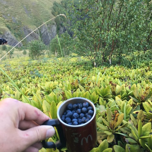 Зов гор: индивидуальное путешествие по Дагестану с подъёмом на Богосский хребет
