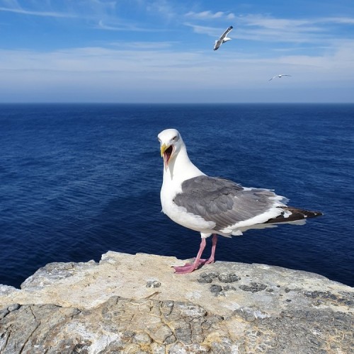 Сахалин с историей: автопутешествие-детокс с ночёвками в палатках на природе (индивидуально)
