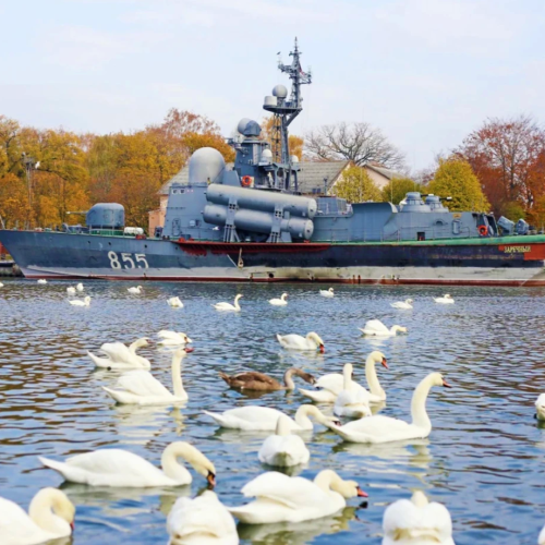 Индивидуальное путешествие по Калининграду и балтийским берегам