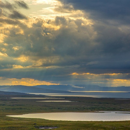 С фотографом на полуострова Рыбачий и Средний (в палатках): мастер-классы по съёмке океана и тундры