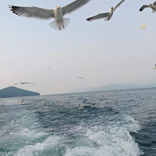 «Всё включено» на Байкале: экскурсии, водная прогулка, погружение в традиции и вкуснейшая кухня