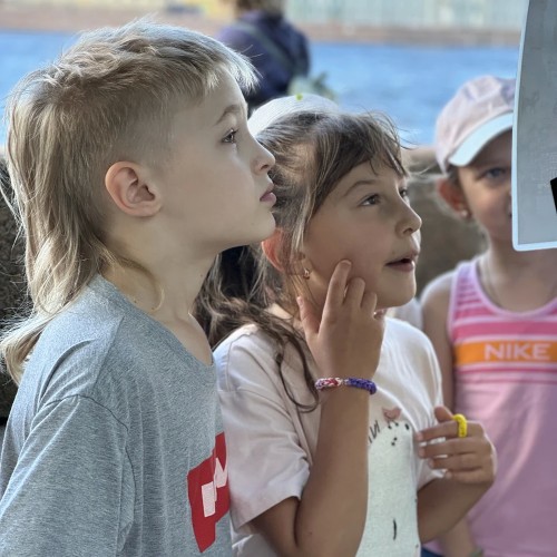 Квест-расследование для всей семьи «По следам петербургских котов»