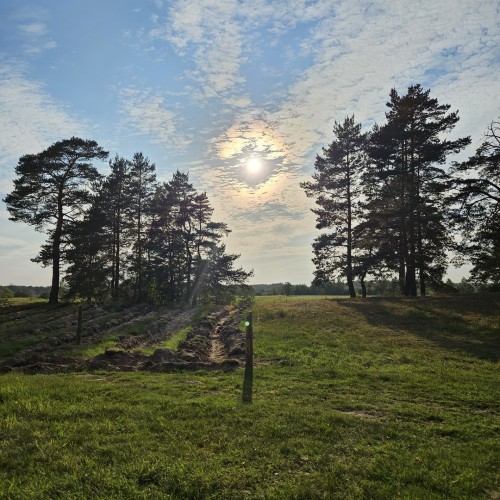 Выходные-перезагрузка на реке Шерне: сплав на байдарках (всё включено)