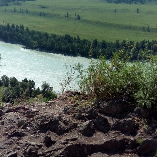 Северные отроги Алтая