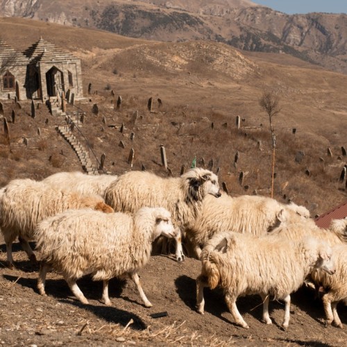 Дагестан с драйвовой компанией: активный тур по топовым местам