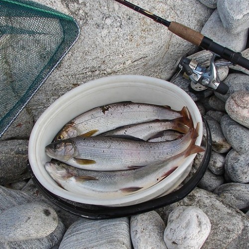 Экстрим-экспедиция на лодке вокруг Ольхона и рыбалка на Байкале только для вас