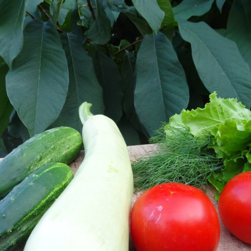 Женское счастье: отдых, правильное питание и проживание с видом на горы