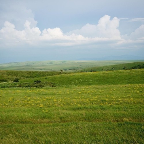 Этнотур по Алтайскому краю и Республике Алтай: всё включено