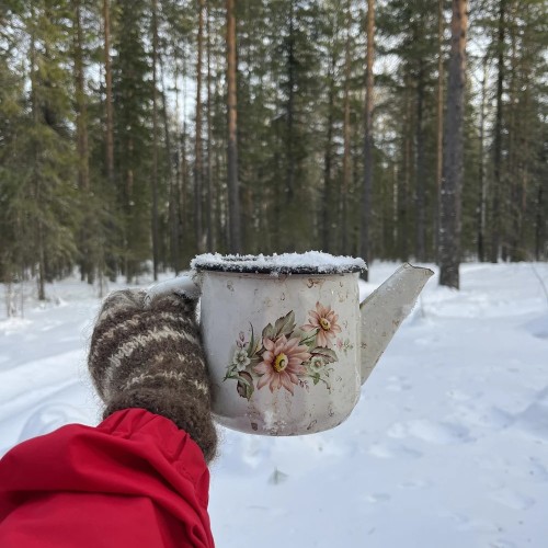 В самое сердце Северного Урала: путешествие «всё включено» на плато Маньпупунёр