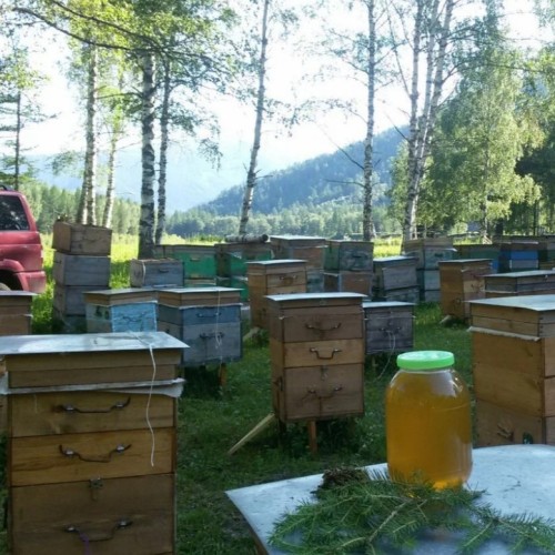 Золотое кольцо Алтая: Чуйский тракт, Телецкое озеро и Чулышманская долина в мини-группе