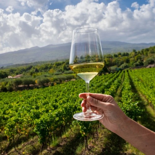 Кубань и Адыгея: казачьи традиции, горы и вина