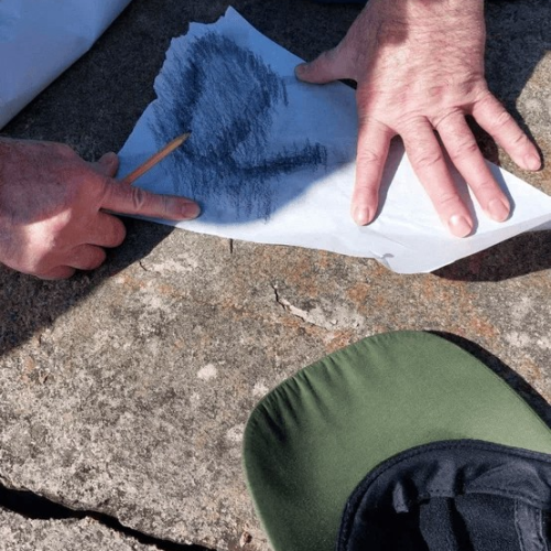 Из Санкт-Петербурга — в Вытегру: тур к Онежскому озеру