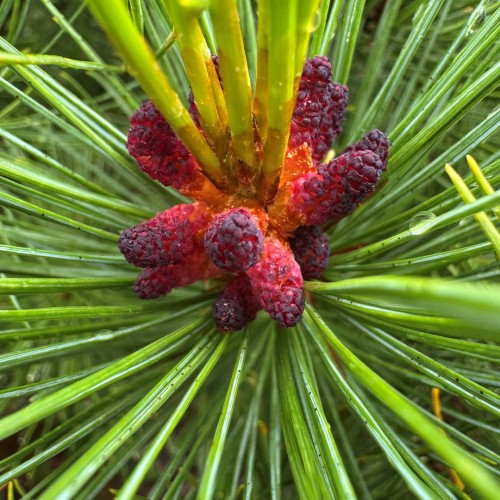 Там с коптера видны вулканы: экспедиция по Камчатке с выходом в море