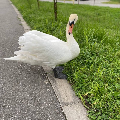 Большое путешествие на Кавказ из Перми: Домбай, Чегет и Эльбрус, Пятигорск и Нальчик