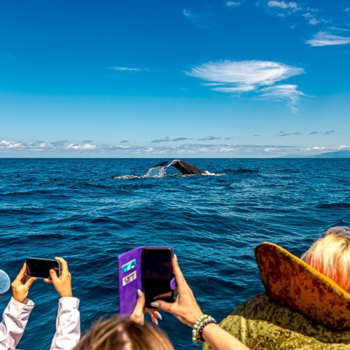 Джип-тур на Итуруп и Шикотан в мини-группе: неизведанные места, релакс в термах и гастрономия