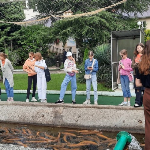 Форелевое хозяйство + шоу стеклодувов: экскурсия из Адлера