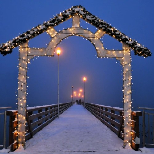 Индивидуальное путешествие по Калининграду и балтийским берегам