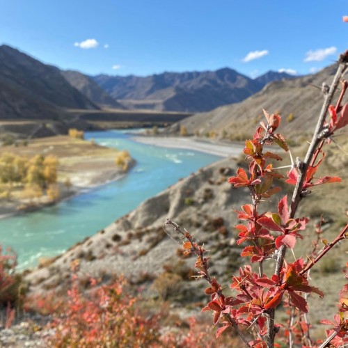 Золотые пейзажи октябрьского Алтая: Чемал, Катунь, Манжерок и Кызыл-Чин в мини-группе