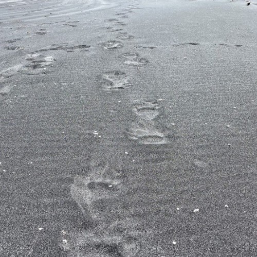 Острова с сокровищами: Сахалин, Итуруп, Кунашир