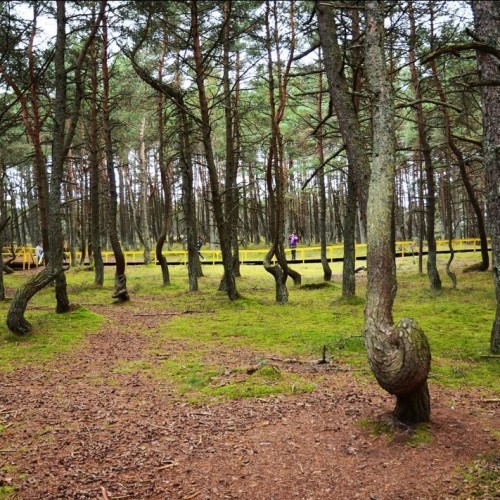 Своей компанией от Балтийска до Куршской косы с прогулками по Калининграду
