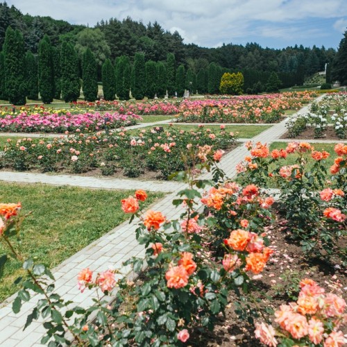 Кавказ для вас индивидуально: горный Кисловодск, легендарный Домбай и Верхняя Балкария
